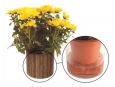 Watring pot plants